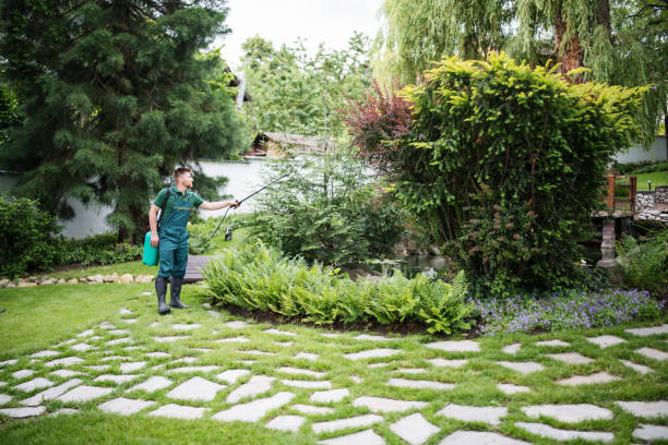 Best Local Pest Control Services  in Willard, OH