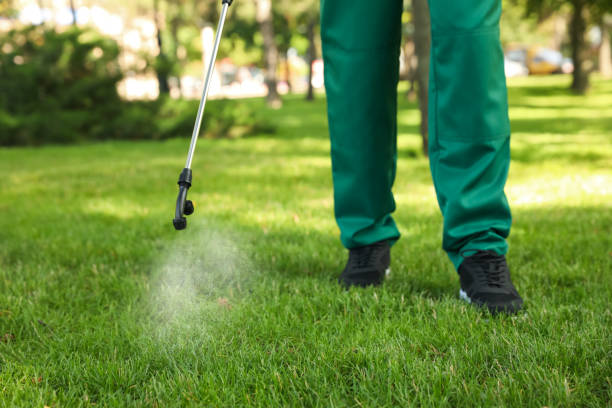 Best Residential Pest Control  in Willard, OH